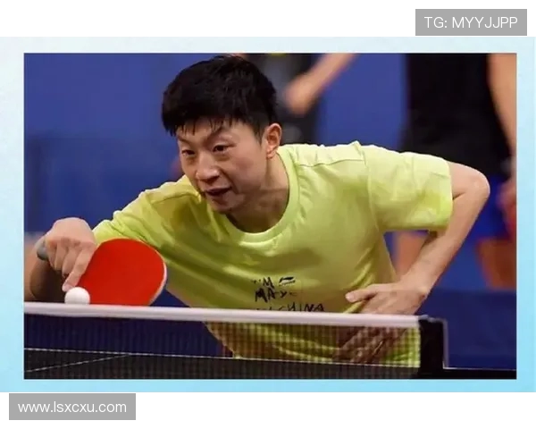 2011鹿特丹乒乓球世锦赛马琳与马龙巅峰对决精彩回顾