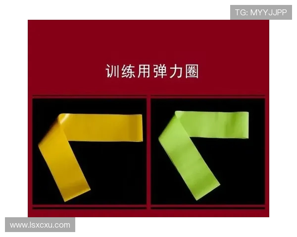 北京羽毛球队耐力训练的深度分析与发展策略探讨